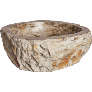 Sylva Fossil - White